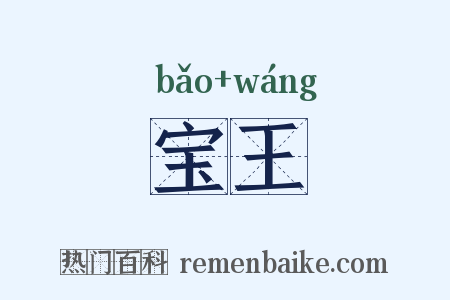 宝王是什么意思的图片